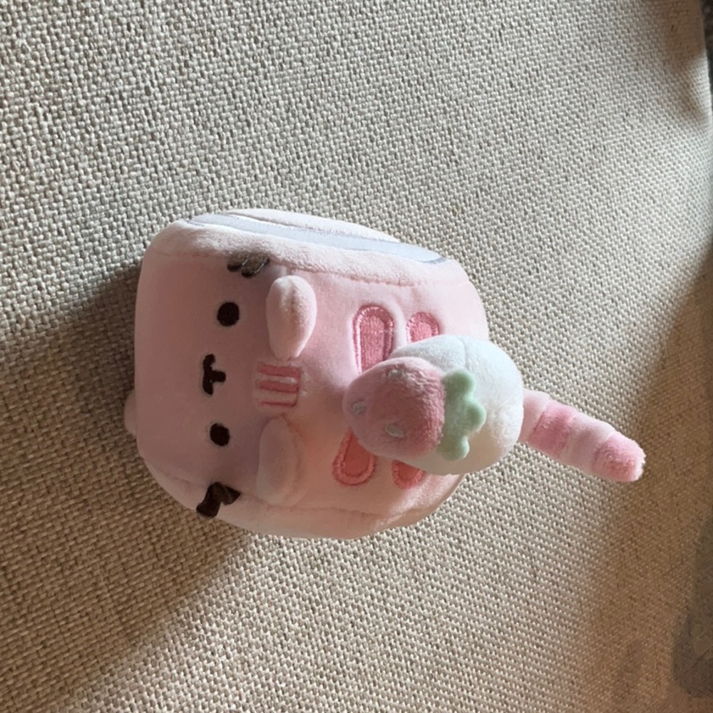 Small cute pusheen